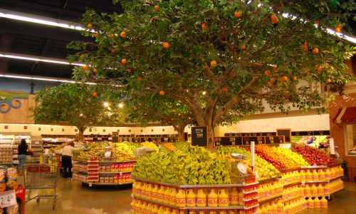 Árbol artificial Naranjo